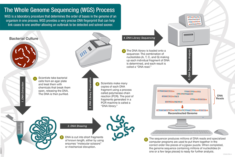 Advances in Whole Genome Sequencing