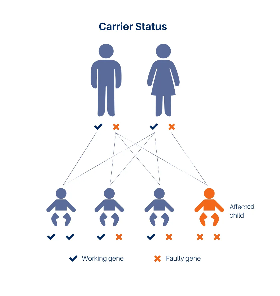 Understanding Carrier Screening